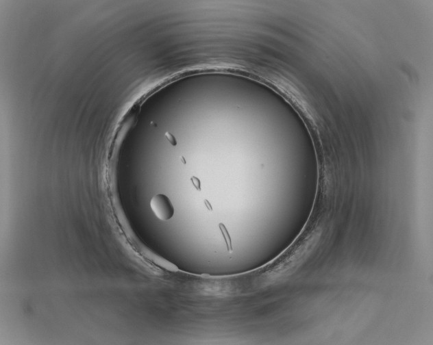 X0000113000797200908271346