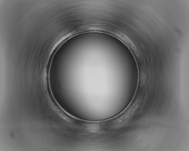 X0000113000798200908271346