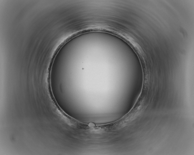 X0000113000799200908271346