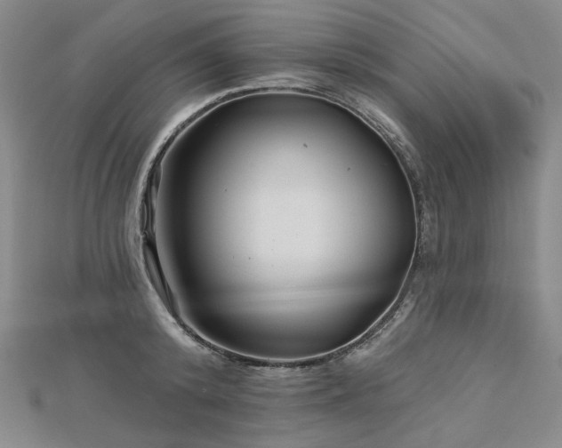 X0000113000800200908271346