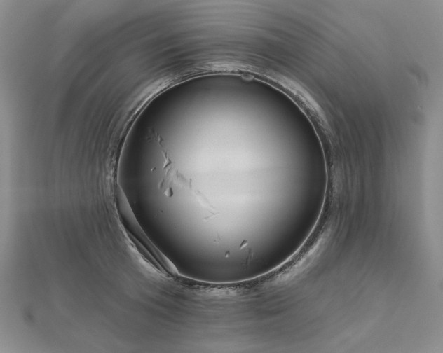 X0000113000801200908271346