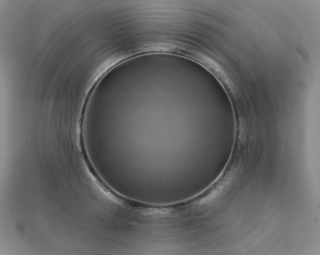 X0000113000802200908271346