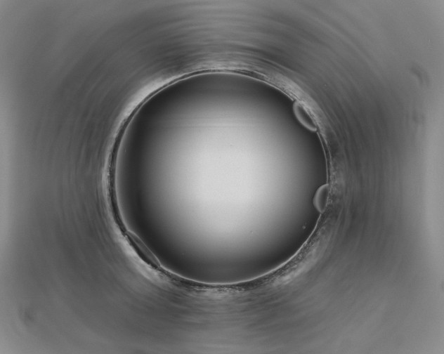 X0000113000803200908271346