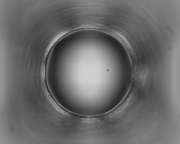 X0000113000804200908271346