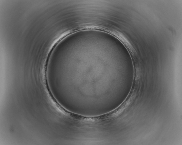 X0000113000806200908271346