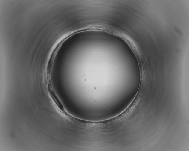 X0000113000808200908271346