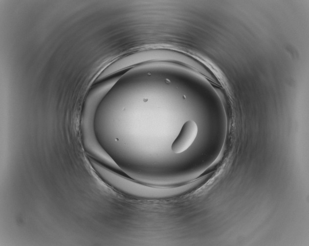 X0000113000809200908271346