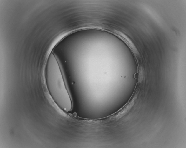 X0000113000812200908271346