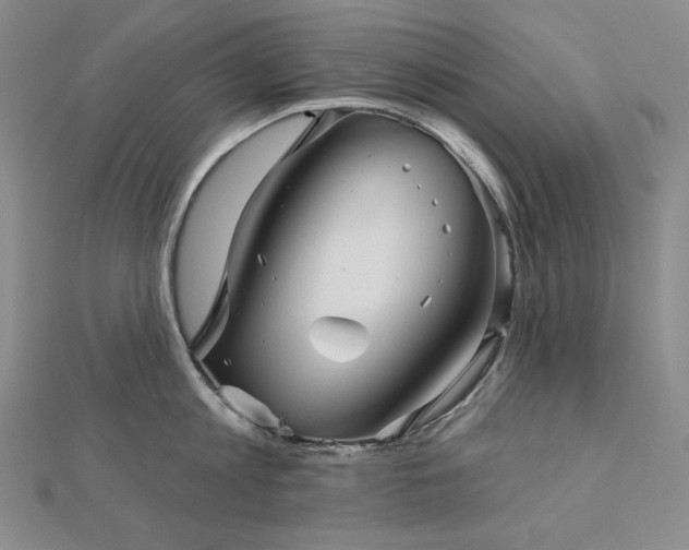 X0000113000813200908271346