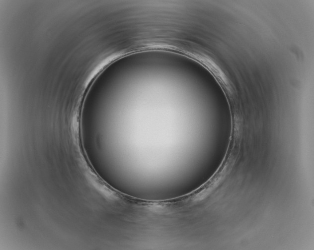 X0000113000814200908271346