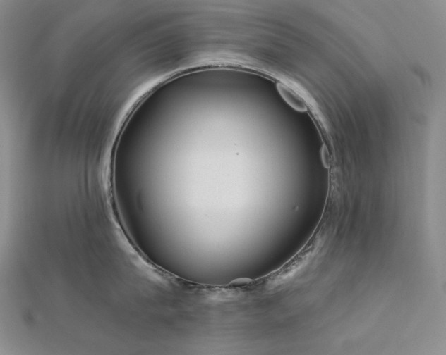 X0000113000815200908271346