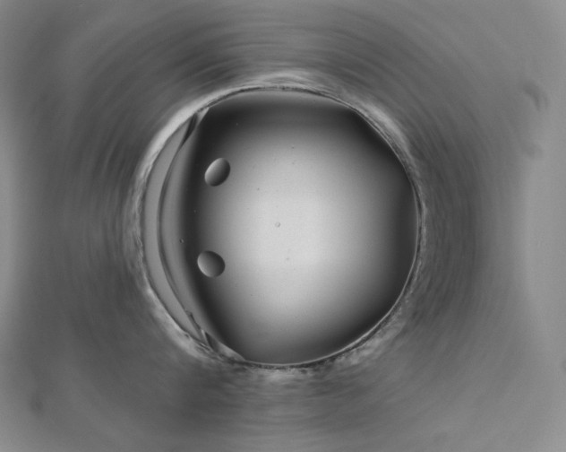 X0000113000816200908271346