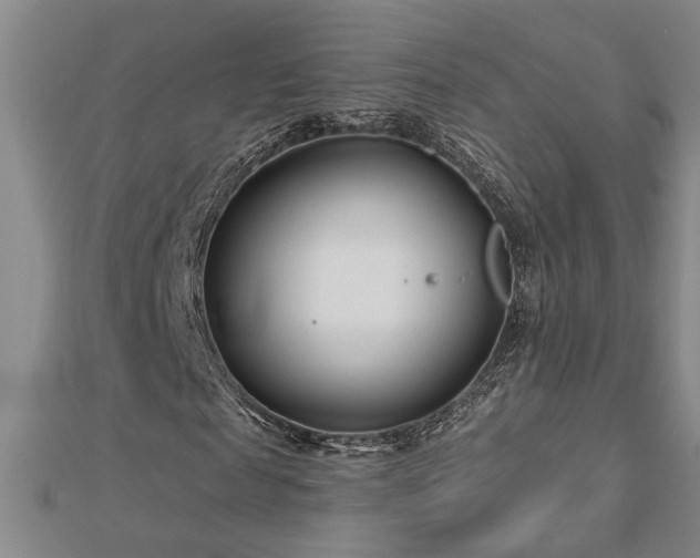 X0000113000817200908271345