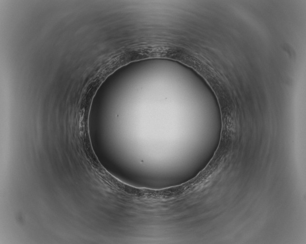 X0000113000818200908271345