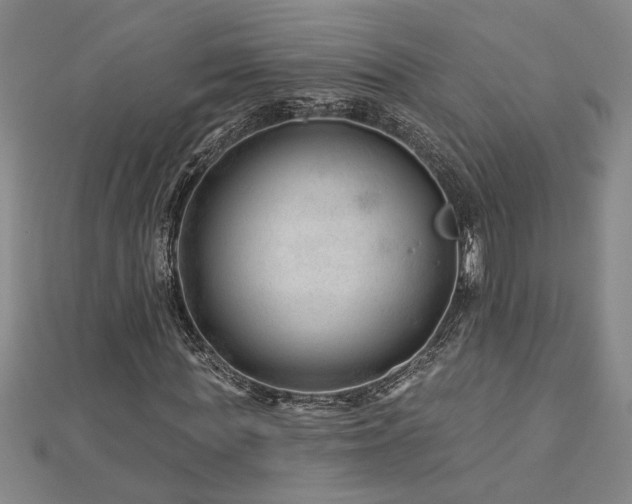 X0000113000819200908271345