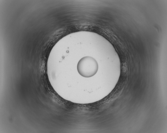 X0000113000820200908271345