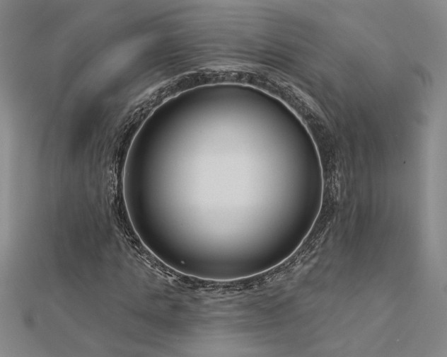 X0000113000821200908271345