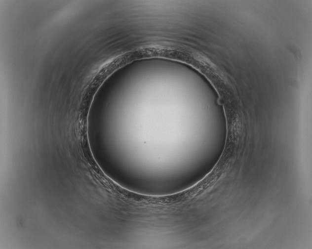 X0000113000822200908271345