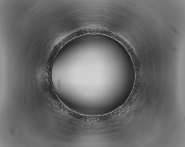 X0000113000823200908271345
