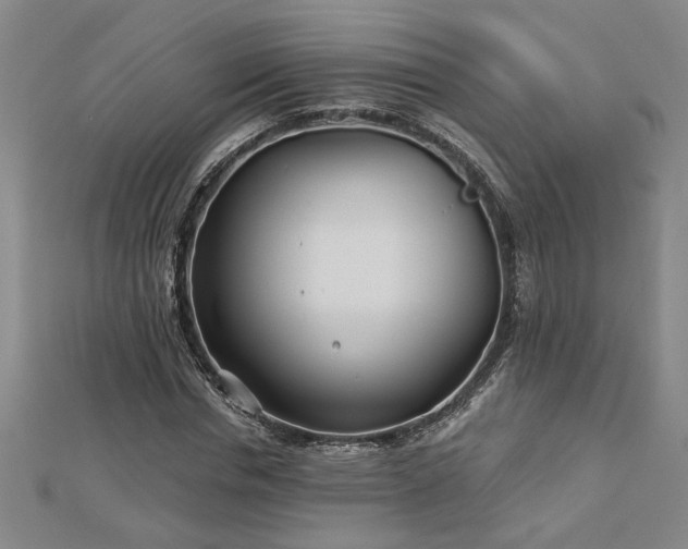 X0000113000826200908271345