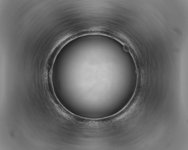 X0000113000827200908271345