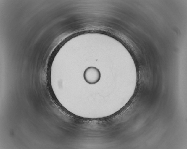 X0000113000828200908271345