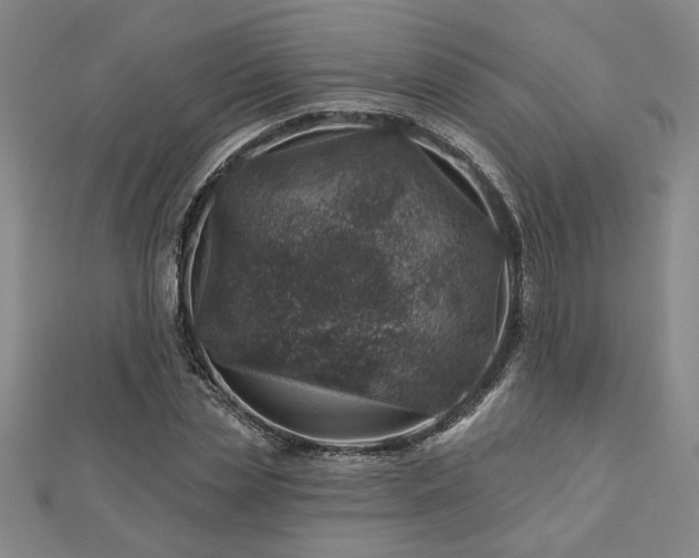X0000113000829200908271345