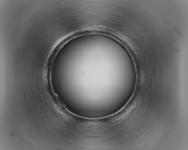 X0000113000830200908271345