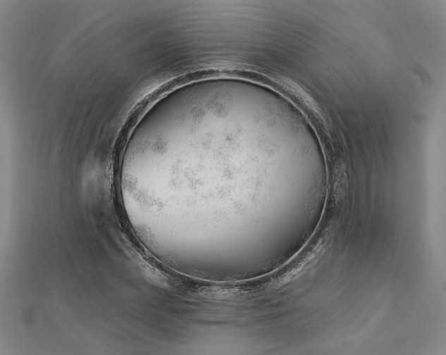 X0000113000831200908271345