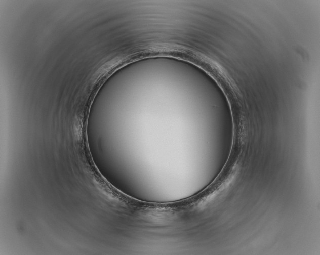 X0000113000833200908271345