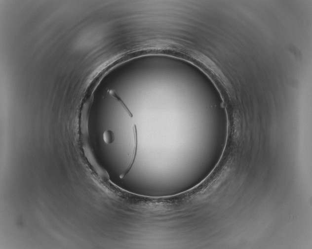 X0000113000834200908271345