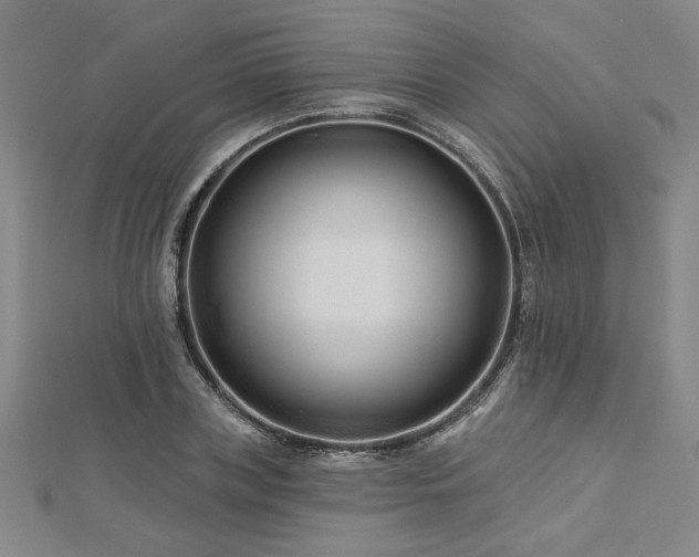 X0000113000835200908271345