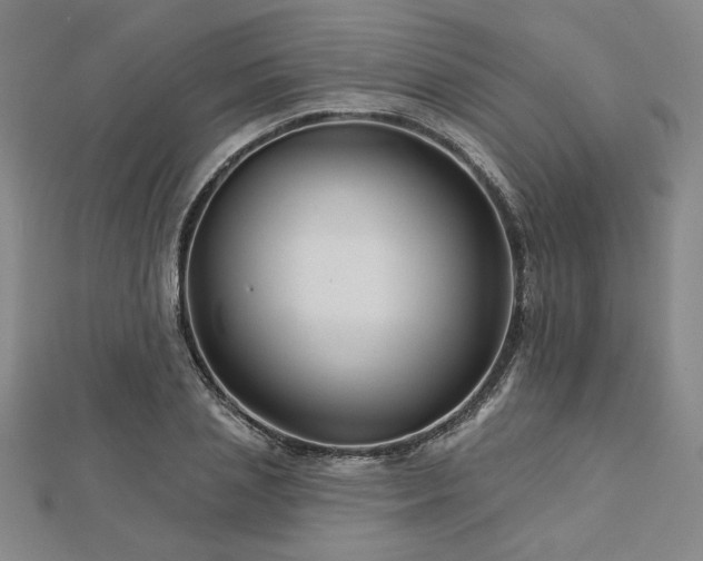 X0000113000837200908271345