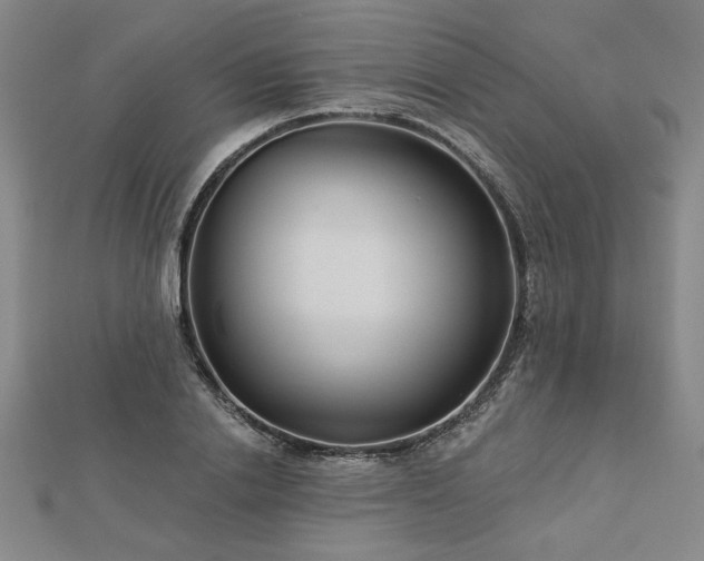 X0000113000838200908271345