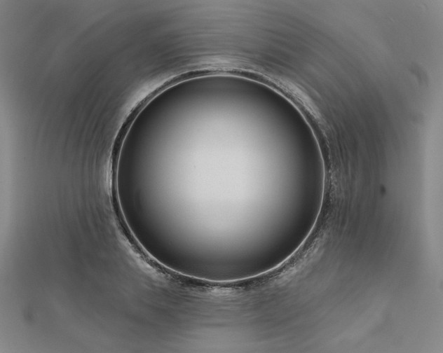 X0000113000839200908271345