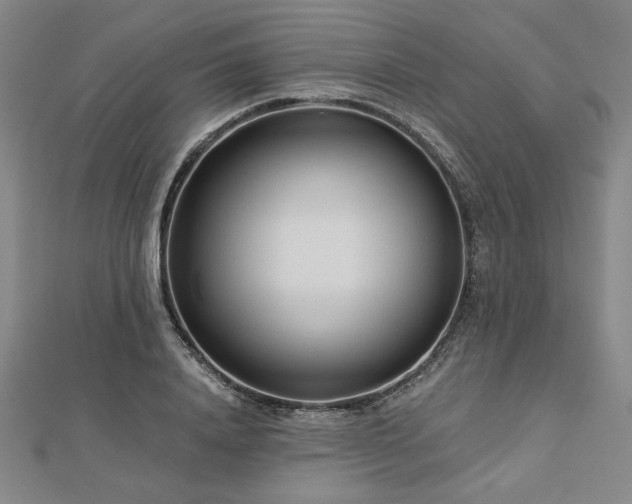 X0000113000840200908271345