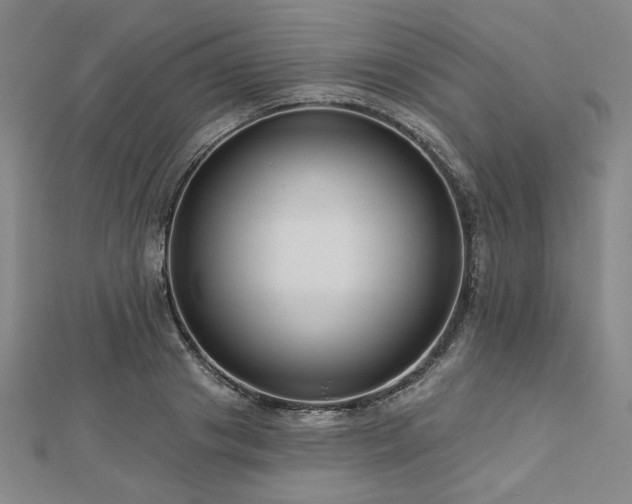 X0000113000841200908271345