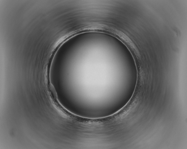 X0000113000842200908271345