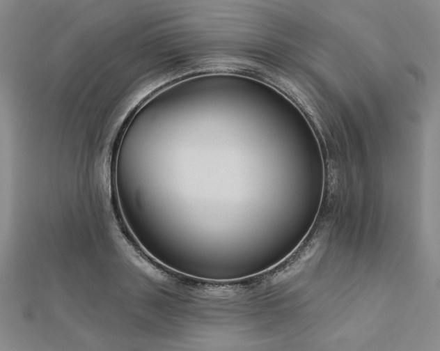 X0000113000843200908271345