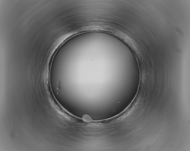 X0000113000844200908271345