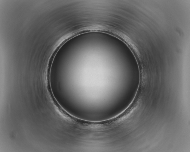 X0000113000845200908271345
