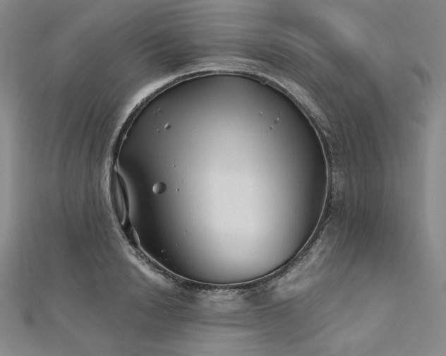 X0000113000846200908271345