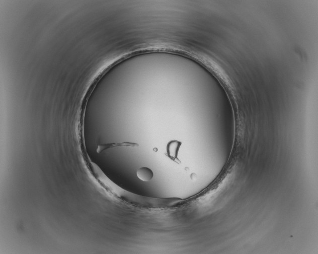 X0000113000847200908271345
