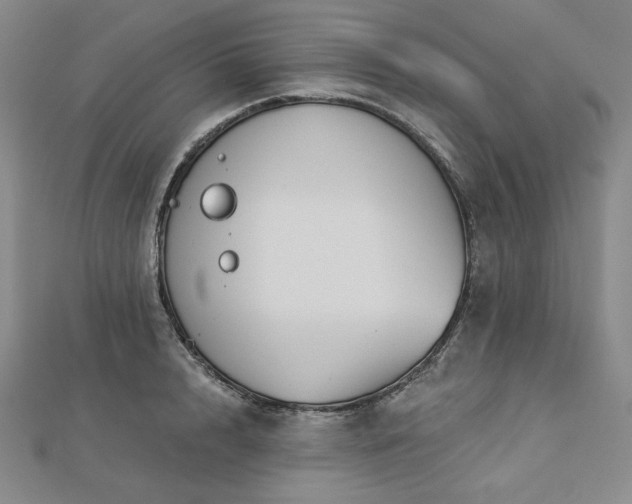 X0000113000848200908271345