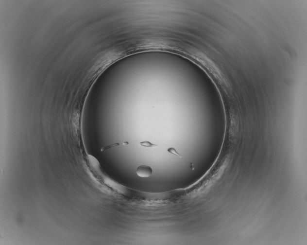 X0000113000849200908271345