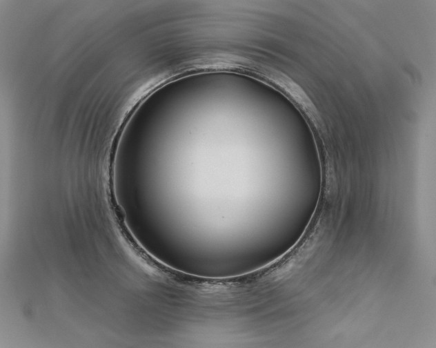 X0000113000850200908271346
