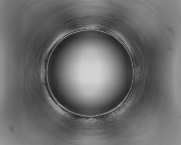 X0000113000851200908271346