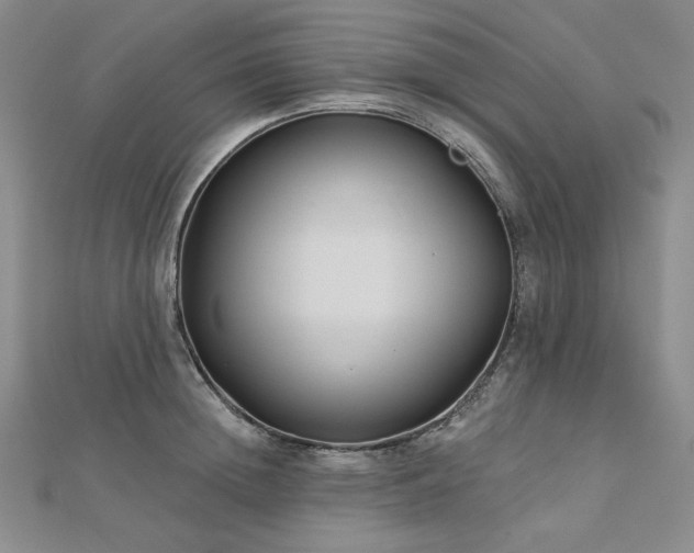 X0000113000852200908271346