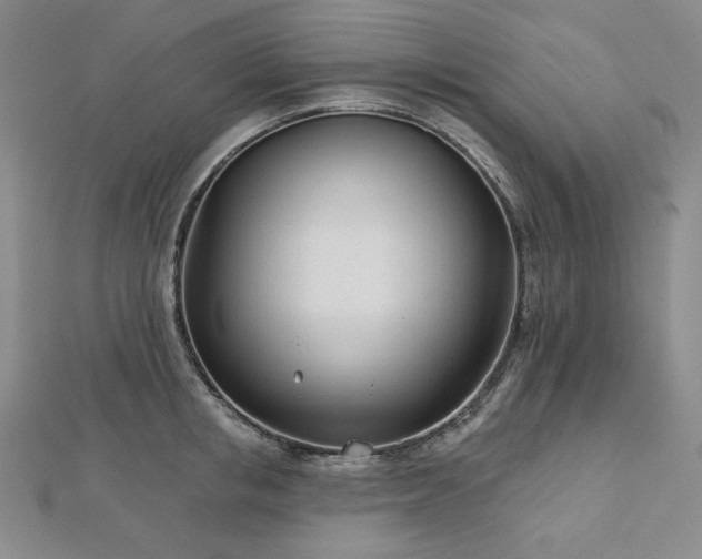 X0000113000853200908271346