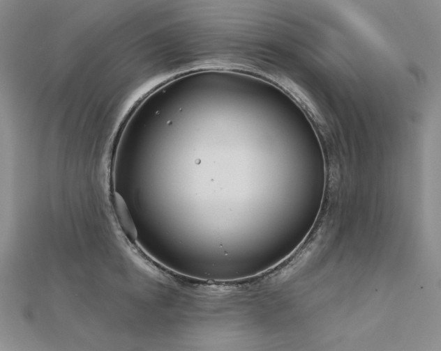 X0000113000854200908271346